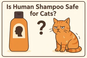 Home 2 Is Human Shampoo Safe for Cat